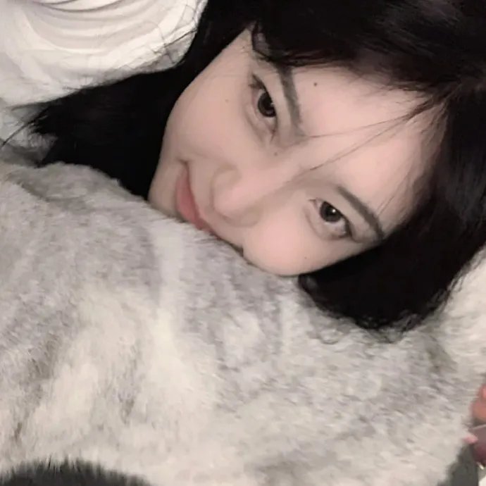 2024青春芒果节